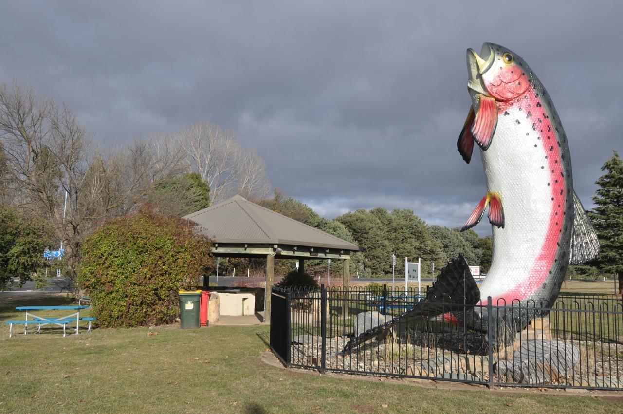 Selwyn Star Lodge Adaminaby Zewnętrze zdjęcie